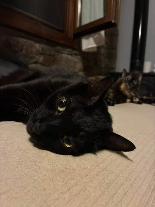 Bob
