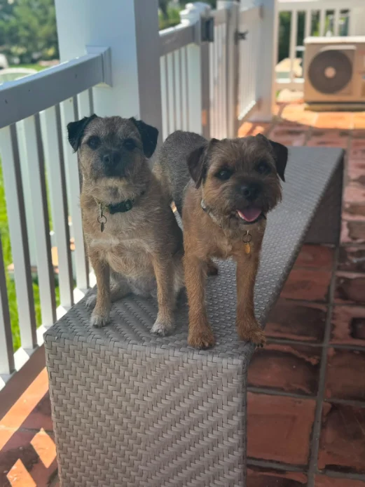 Tessa y Albert